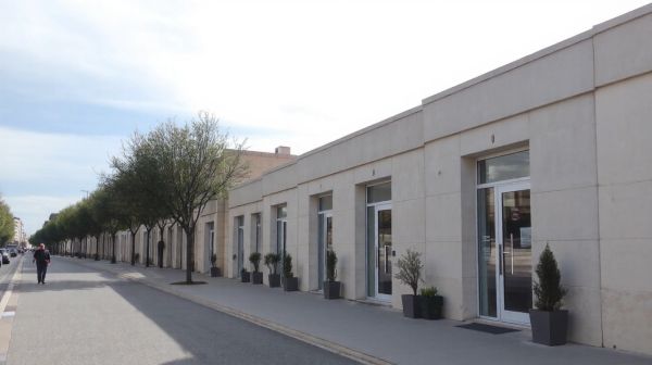Meilleurs choix de cliniques vétérinaires d'urgence à Montpellier